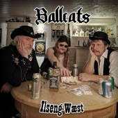 Ilseng Wæst artwork