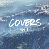 Covers, Vol. 3 artwork