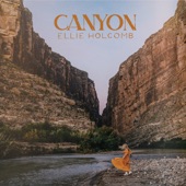 Canyon artwork