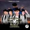 Vamos Todos a Bailar - Single