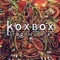 Electronic Brainwash - Koxbox lyrics