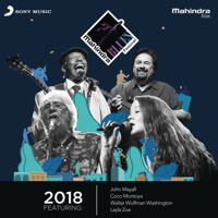 Various Artists - The Mahindra Blues Festival 2018 (Live) artwork