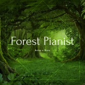 Forest Pianist artwork