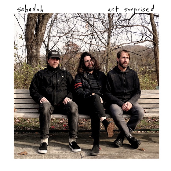 Cover artwork for stunned