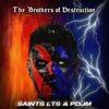 The Brothers of Destruction - EP