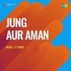 Jung Aur Aman