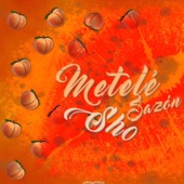 Metelé Sazón artwork