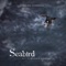 Seabird (feat. Freya Parry) - Alastair McNamara lyrics