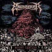 Mount Carcass artwork