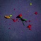 Sadgirl (feat. Drolym) - Tioch lyrics