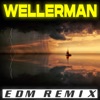 Wellerman (EDM Remix) by Remix Kingz iTunes Track 1