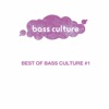 Best of Bass Culture, Vol. 01, 2020