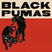 Black Pumas - Colors (Live In Studio)