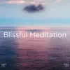 Blissful Meditation album lyrics, reviews, download