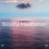 Stream & download Blissful Meditation