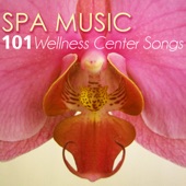 Spa Music - Ultimate 101 Wellness Center Songs, Deep Sleep Inducing, Relaxation Sounds for Mindfulness & Brain Stimulation artwork