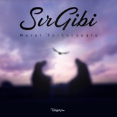 Sır Gibi artwork