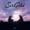 Sır Gibi artwork