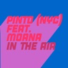 Pinto (NYC) - In the Air (feat. Moana)