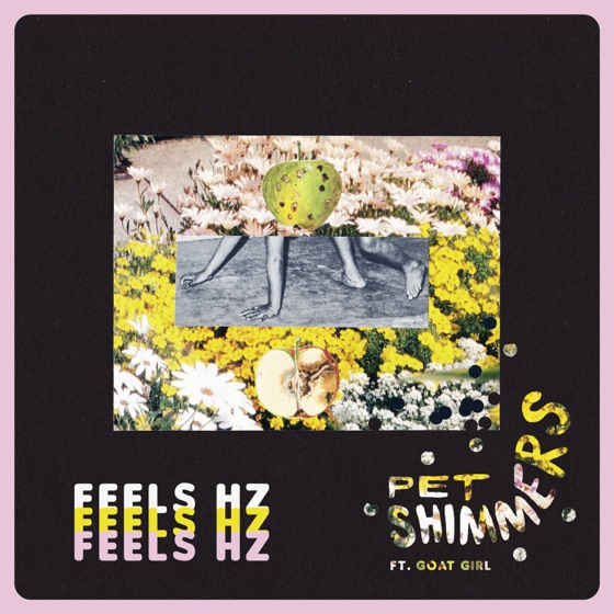 Cover artwork for Feels Hz (feat. Goat Girl)