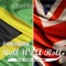 Another Situation (feat. Canei) - Don Andre lyrics
