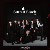 Burn It Black e.p. artwork