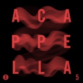 Toolroom Acapellas Vol. 5 artwork