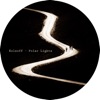 Polar Lights - Single