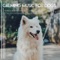 Calming Music for Dogs - Dog Music Dreams, Relax My Dog & Dog Music Therapy lyrics
