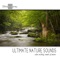 Babbling Brook - Ultimate Journey lyrics