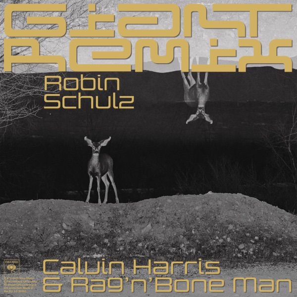 Giant (Robin Schulz Extended Remix) - Single - Calvin Harris, Rag'n'Bone Man