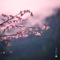 Daydreaming - yuhei miura & Kazuki Isogai lyrics