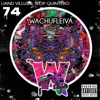 Wachufleiva 74