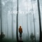 Lost My Mind - Johnny Van Der Velden lyrics