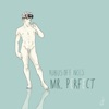 Rubus of Fences - Mister Perfect