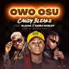 Owo Osu (feat. Zlatan & Naira Marley) - Single album lyrics, reviews, download