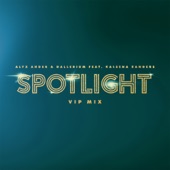 Spotlight (feat. Kaleena Zanders) [VIP Mix] [Extended Mix] artwork