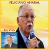 Feliciano Amaral (Ao Vivo), 2014