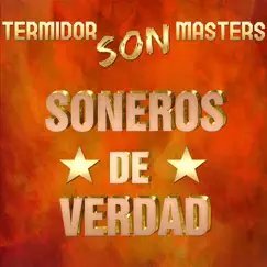 Termidor Son Masters by Soneros De Verdad album reviews, ratings, credits