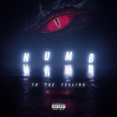 Numb to the Feeling artwork