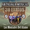 Antología Musical 30 Éxitos