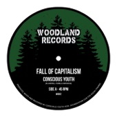 Fall of Capitalism Pt II artwork