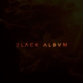 Black Album artwork