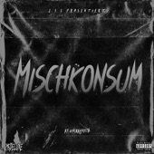 Mischkonsum artwork