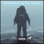 Astronaut In the Ocean (Remix) artwork