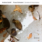 Franz Schubert - Piano Sonata No. 20 in A Major, D. 959: 1. Allegro