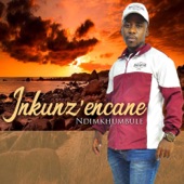 Ndimkhumbule (feat. Solwazi) artwork