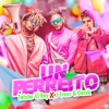 Un Perreito - Single