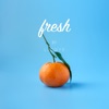 LiQWYD - Fresh