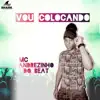 Vou Colocando (feat. DJ Tubarão) - Single album lyrics, reviews, download